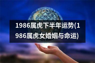 1986属虎下半年运势(1986属虎女婚姻与命运)