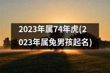 2025年属74年虎(2025年属兔男孩起名)