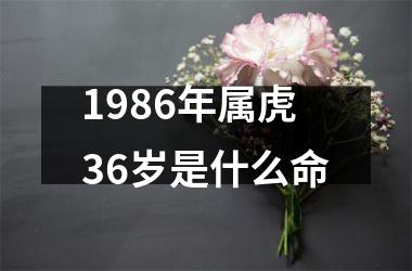 1986年属虎36岁是什么命