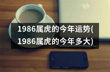 1986属虎的今年运势(1986属虎的今年多大)