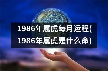 1986年属虎每月运程(1986年属虎是什么命)