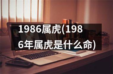 1986属虎(1986年属虎是什么命)