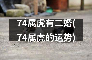 74属虎有二婚(74属虎的运势)