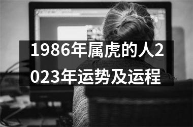 1986年属虎的人2025年运势及运程