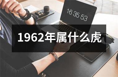 1962年属什么虎