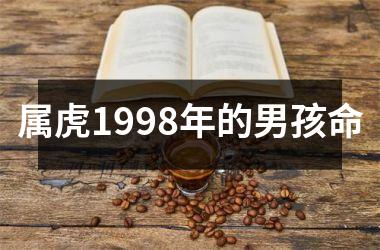 属虎1998年的男孩命