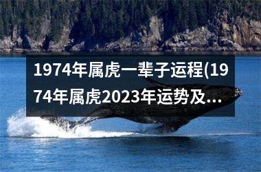 <h3>1974年属虎一辈子运程(1974年属虎2025年运势及运程每月运程)