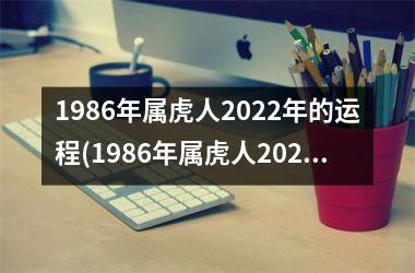 1986年属虎人2025年的运程(1986年属虎人2025年运势)