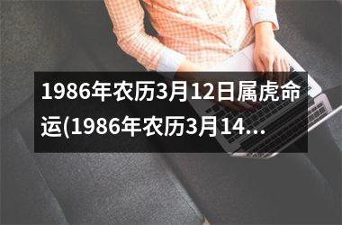 1986年农历3月12日属虎命运(1986年农历3月14)