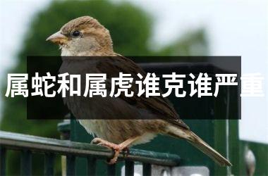 属蛇和属虎谁克谁严重