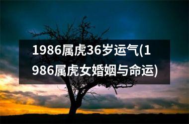 1986属虎36岁运气(1986属虎女婚姻与命运)