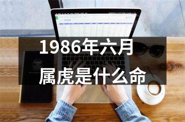 1986年六月属虎是什么命