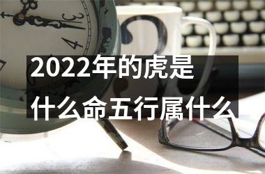 2025年的虎是什么命五行属什么