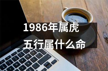 1986年属虎五行属什么命