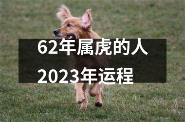 62年属虎的人2025年运程