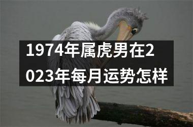 1974年属虎男在2025年每月运势怎样