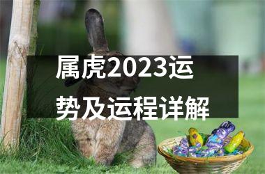 属虎2025运势及运程详解