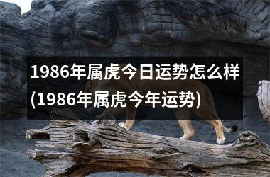 1986年属虎今日运势怎么样(1986年属虎今年运势)