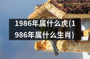 1986年属什么虎(1986年属什么生肖)