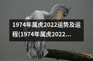 1974年属虎2025运势及运程(1974年属虎2025年运势及运程男性)