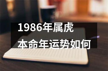 1986年属虎本命年运势如何