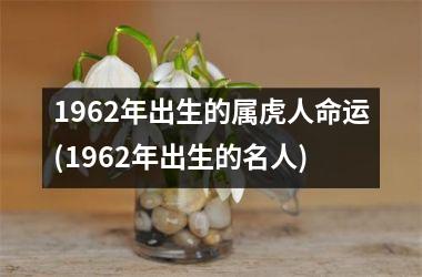 1962年出生的属虎人命运(1962年出生的名人)