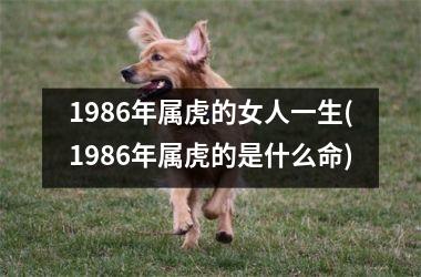 1986年属虎的女人一生(1986年属虎的是什么命)