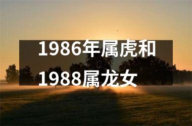 1986年属虎和1988属龙女