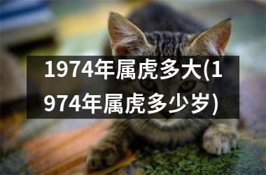 1974年属虎多大(1974年属虎多少岁)