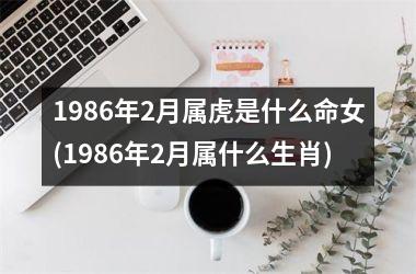 1986年2月属虎是什么命女(1986年2月属什么生肖)