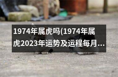 1974年属虎吗(1974年属虎2025年运势及运程每月运程)