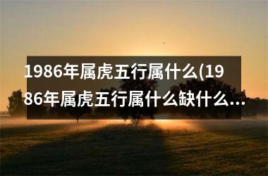 1986年属虎五行属什么(1986年属虎五行属什么缺什么)