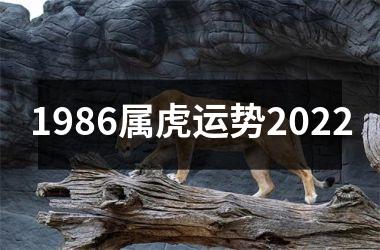 1986属虎运势2025