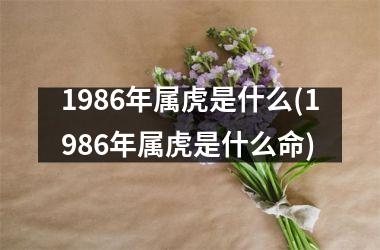 1986年属虎是什么(1986年属虎是什么命)