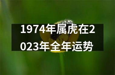 1974年属虎在2025年全年运势