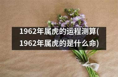 1962年属虎的运程测算(1962年属虎的是什么命)