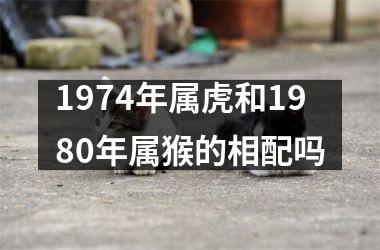 1974年属虎和1980年属猴的相配吗