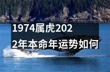 1974属虎2025年本命年运势如何