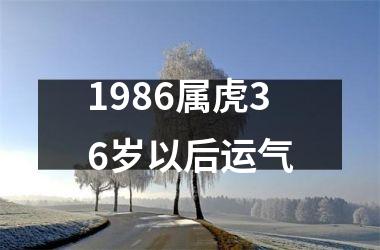 1986属虎36岁以后运气