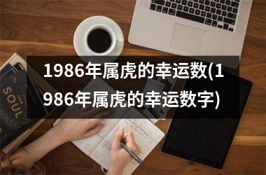 1986年属虎的幸运数(1986年属虎的幸运数字)