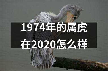 1974年的属虎在2025怎么样