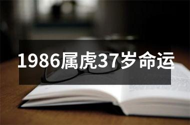 1986属虎37岁命运