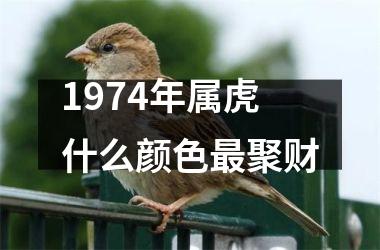 1974年属虎什么颜色最聚财