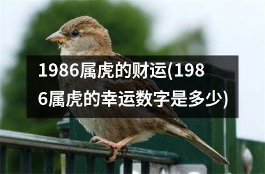 1986属虎的财运(1986属虎的幸运数字是多少)