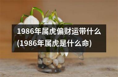 1986年属虎偏财运带什么(1986年属虎是什么命)