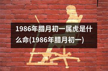 1986年腊月初一属虎是什么命(1986年腊月初一)