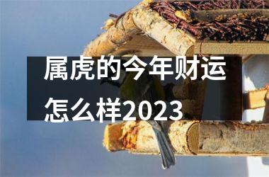 属虎的今年财运怎么样2025