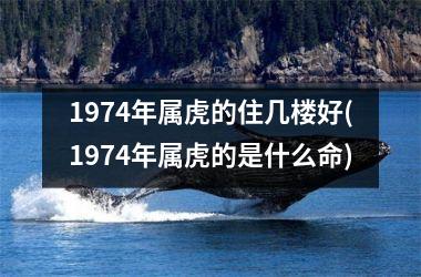 <h3>1974年属虎的住几楼好(1974年属虎的是什么命)