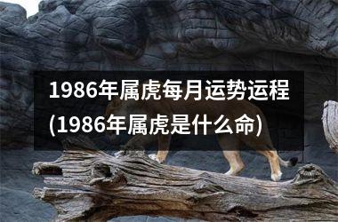 1986年属虎每月运势运程(1986年属虎是什么命)
