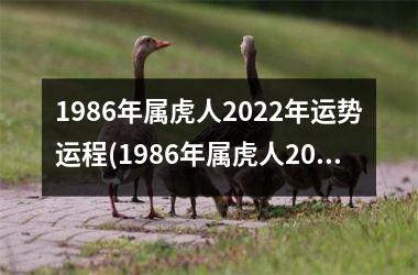 1986年属虎人2025年运势运程(1986年属虎人2025年运势)